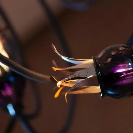 Ringhotel Bundschu 4*