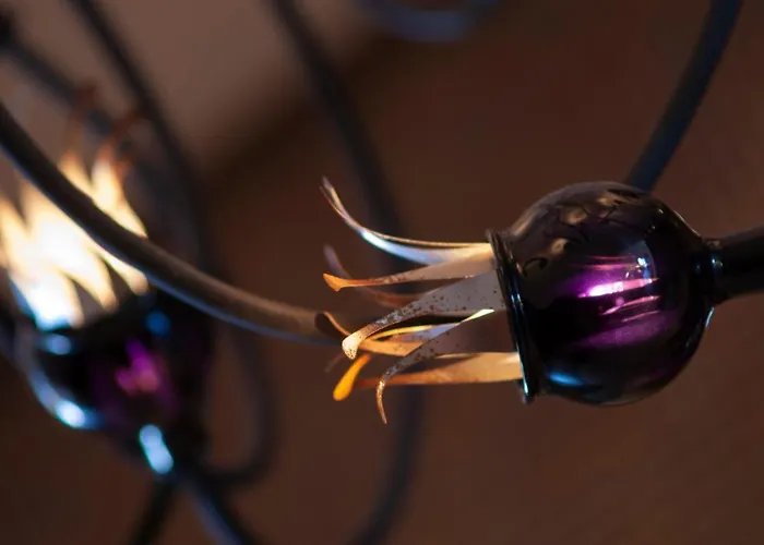 Ringhotel Bundschu 4*